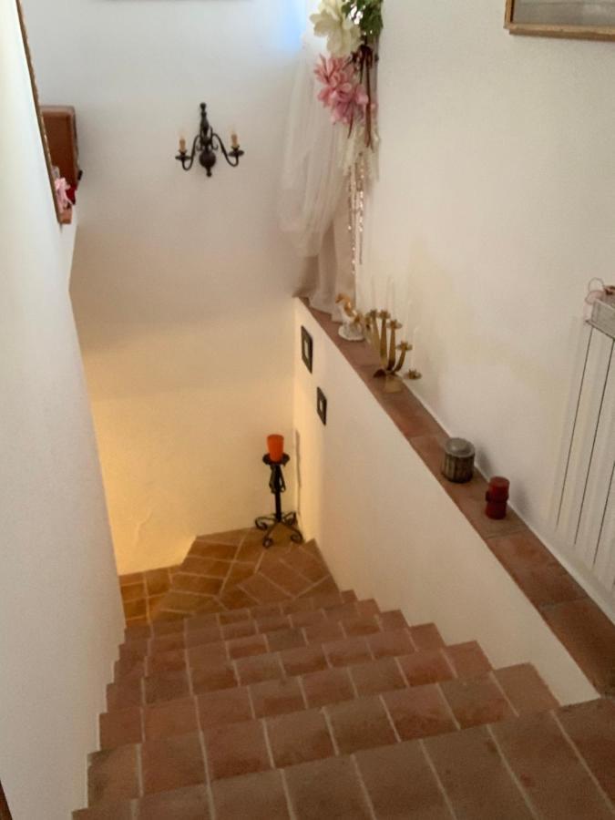 La Casa Dei Ricordi Daire Collesalvetti Dış mekan fotoğraf