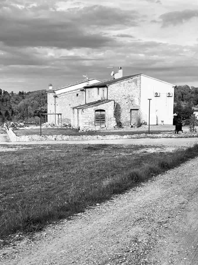 La Casa Dei Ricordi Daire Collesalvetti Dış mekan fotoğraf